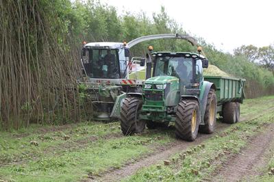 Harvesting of bioenergy coppice